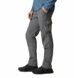 Pantaloni bărbați Columbia Silver Ridge™ II Cargo Pant