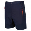 Pantaloni
			scurți bărbați Regatta Sungari Shorts albastru/portocaliu