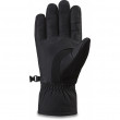 Mănuși Dakine Bronco Gore-Tex Glove