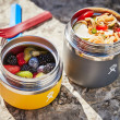 Termos pentru mâncare Hydro Flask 20 oz Insulated Food Jar