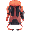 Rucsac Deuter Guide 24