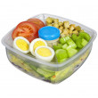 Salátový box Sistema Salad Max To Go 1,63L