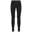 Indispensabili funcționali bărbați Icebreaker M Mer Core Heavyweight Leggings negru Black