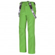 Pantaloni bărbați de schi Husky Galti M (2017) verde zelená