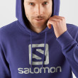 Hanorac Salomon Outlife Logo Pullover Hoodie