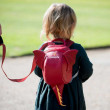 Rucsac copii LittleLife Animal Toddler Backpack Dragon