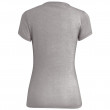 Tricou femei Salewa Lines Graphic Dry W T-Shirt.