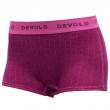 ChiloČ›i Devold Duo Active Woman Hipster violet plum
