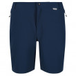 Pantaloni scurți bărbați Regatta Mountain ShortsII albastru închis