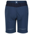 Pantaloni scurți bărbați Regatta Mountain ShortsII M