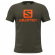 Tricou bărbați Salomon Outlife Logo verde