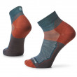 Șosete Smartwool Cycle Zero Cushion Ankle Socks