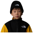 Căciulă The North Face Kids Tnf Box Logo Cuffed Beanie