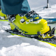 Clăpari schi alpin Dynafit Radical Pro