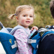 Scaun pentru copii LittleLife Adventurer Carrier Blue 2017
