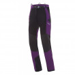 Pantaloni femei Direct Alpine Cascade Lady 2.0 negru/violet