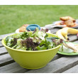 Bol EcoSouLife Salad Bowl