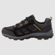 Încălțăminte bărbați Jack Wolfskin Vojo 3 Texapore Low M