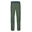Pantaloni bărbați Ortovox Colodri Pants M verde