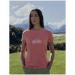 Tricou funcțional femei Icebreaker Women Merino 150 Tech Lite III SS Tee IB Grown Naturally