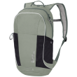 Rucsac pentru copii Jack Wolfskin Moab Trail khaki/negru Mint Leaf