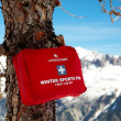 Trusă de prim ajutor Lifesystems Winter Sports Pro First Aid Kit
