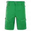 Pánské kraťasy Dare2b Tuned In Shorts verde