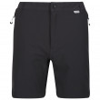 Pantaloni scurți bărbați Regatta Mountain ShortsII M gri/negru