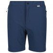 Pantaloni scurți bărbați Regatta Mountain ShortsII M albastru