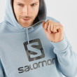 Hanorac Salomon Outlife Logo Pullover Hoodie