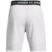 Pantaloni scurți bărbați Under Armour Vanish Woven Shorts