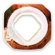 Capsule parfumate Scent Air Hydration Falco