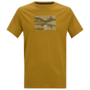 Tricou bărbați Regatta Breezed maro dechis Wood Brown