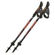 Bețe Nordic Walking Fizan R-Evolution Pro