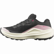 Încălțăminte de alergat pentru femei Salomon Genesis 2 Gtx W