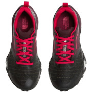 Încălțăminte de alergat pentru femei The North Face W Offtrail TR Gore-Tex