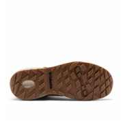 Încălțăminte de trekking pentru bărbați Columbia Newton Alpine Pt™