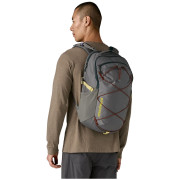 Rucsac Patagonia Refugio Day Pack 30L