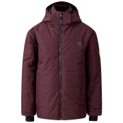 Geacă de iarnă copii Dare 2b Explorer Jacket violet Fig