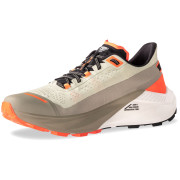 Încălțăminte de alergat pentru bărbați Dynafit Ultra 100 V3 bej Rock Khaki/Overcast