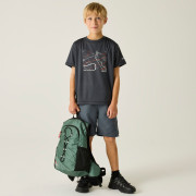 Tricou copii Regatta Alvarado Seal Grey
