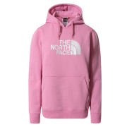 The North Face Drew Peak Pullover Hoodie