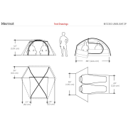 Cort Marmot Limelight 2P