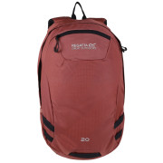 Rucsac urban Regatta Brize II 20l