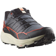 Încălțăminte de alergat pentru bărbați Salomon Thundercross Gore-Tex