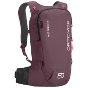 Rucsac pentru schi alpin Ortovox Free Rider 20 S