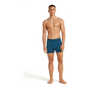 Boxeri bărbați Icebreaker Men Merino 150 Anatomica Boxers
