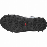 Încălțăminte bărbați Salomon Crosstrak Powder Waterproof Equipe