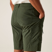 Pantaloni scurți bărbați Regatta Dalry Short