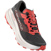 Încălțăminte bărbați La Sportiva Prodigio Max GTX